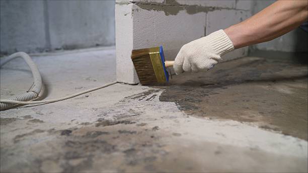SJ Waterproofing Pros Waterproofing coverage map for Woodstock, VA and surrounding area